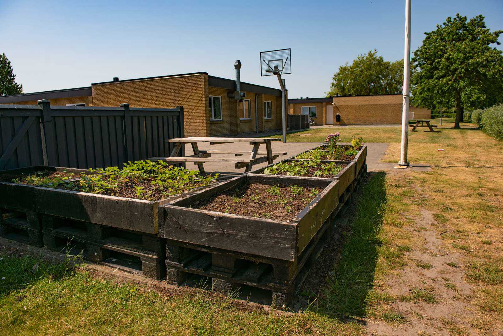 Børnecenter Tønders køkkenhave